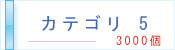 英単語カテゴリ5